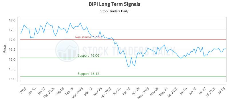 BIPI Long Term Analysis for July 3 2025
