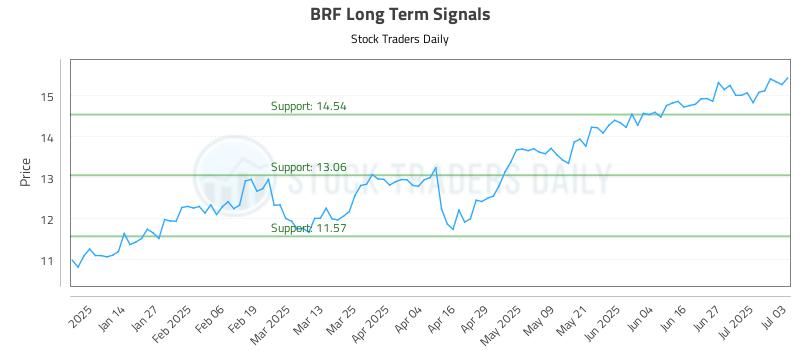 BRF Long Term Analysis for July 4 2025 BRF Long Term Analysis for July 4 2025