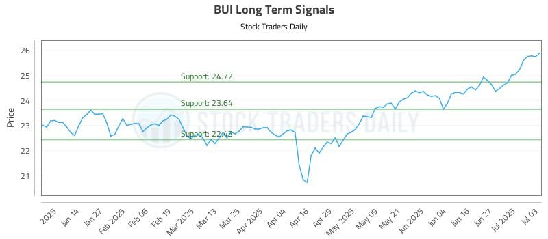 BUI Long Term Analysis for July 4 2025 BUI Long Term Analysis for July 4 2025