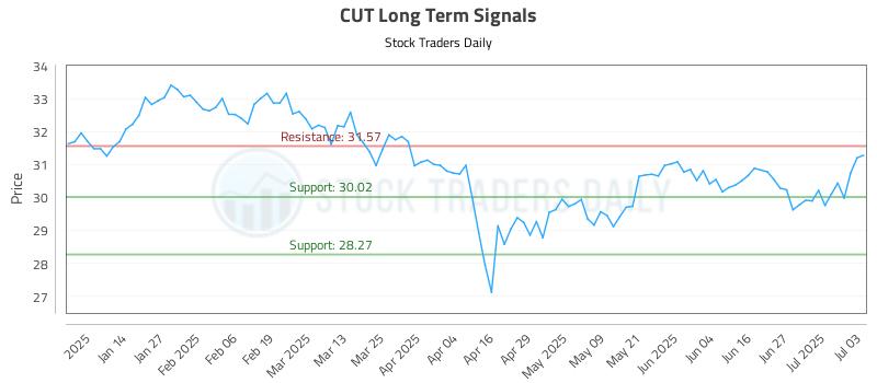 CUT Long Term Analysis for July 4 2025