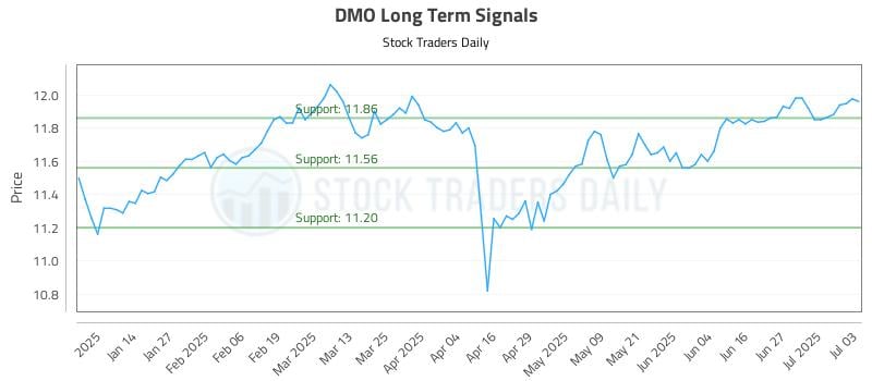 DMO Long Term Analysis for July 4 2025 DMO Long Term Analysis for July 4 2025