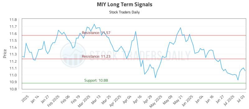 MIY Long Term Analysis for July 6 2025