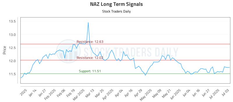 NAZ Long Term Analysis for July 6 2025