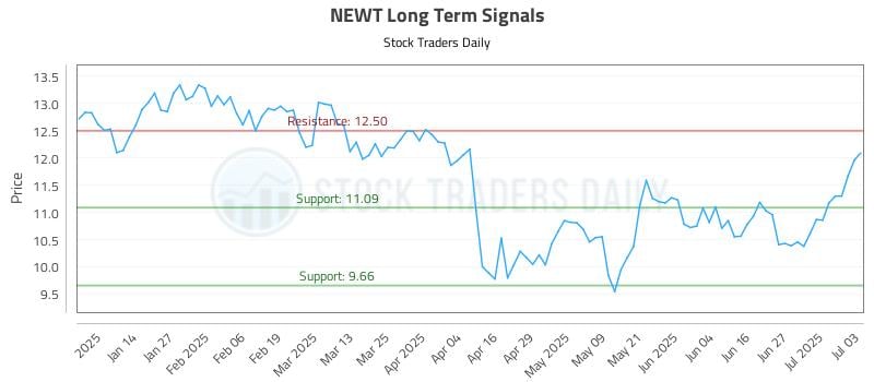 NEWT Long Term Analysis for July 6 2025