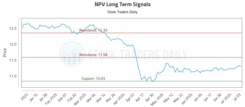 NPV Long Term Analysis for July 7 2025