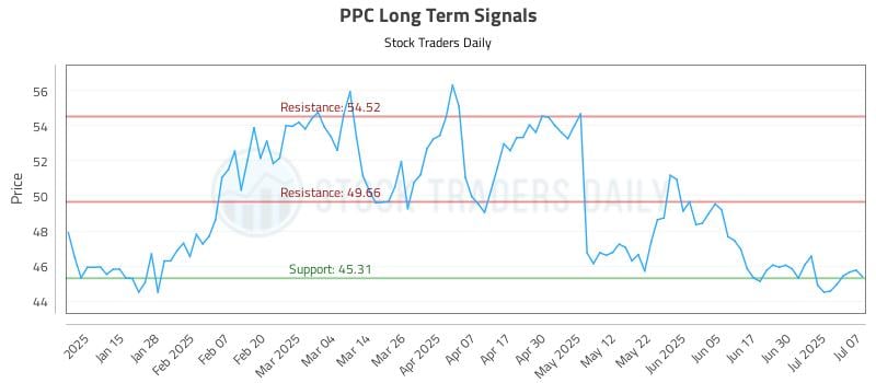 PPC Long Term Analysis for July 7 2025