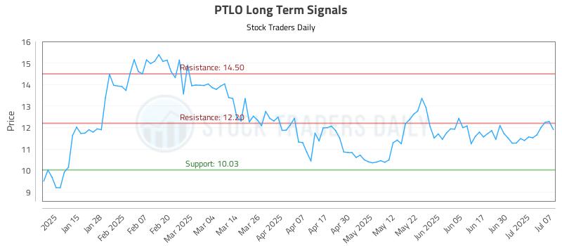 PTLO Long Term Analysis for July 7 2025