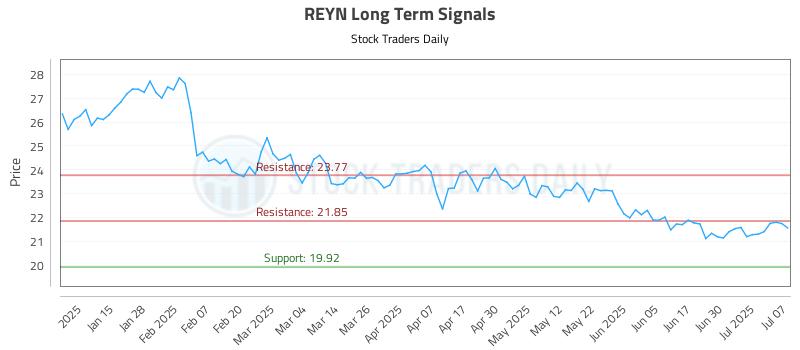 REYN Long Term Analysis for July 7 2025 REYN Long Term Analysis for July 7 2025
