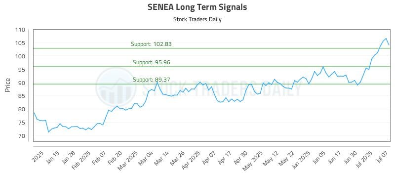 SENEA Long Term Analysis for July 7 2025 SENEA Long Term Analysis for July 7 2025