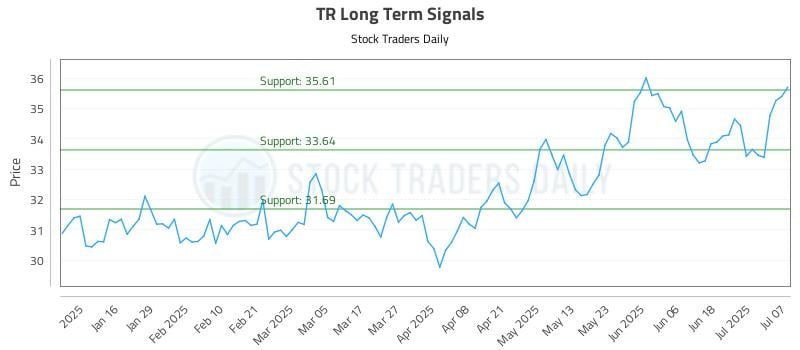 TR Long Term Analysis for July 8 2025
