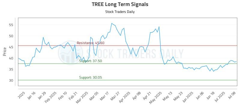 TREE Long Term Analysis for July 8 2025 TREE Long Term Analysis for July 8 2025