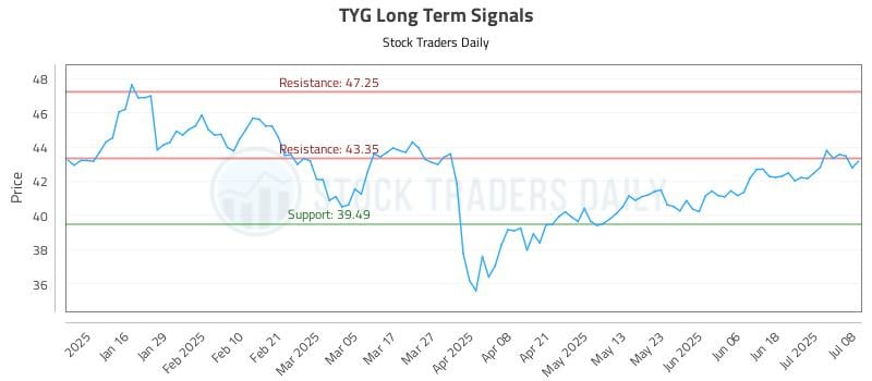 TYG Long Term Analysis for July 8 2025 TYG Long Term Analysis for July 8 2025