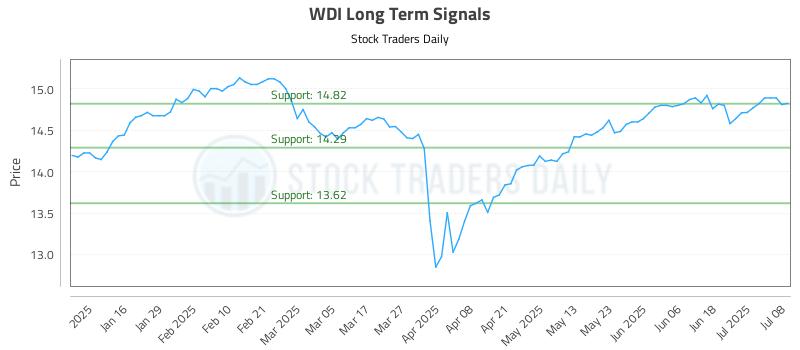 WDI Long Term Analysis for July 8 2025