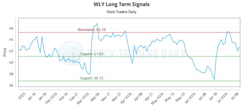WLY Long Term Analysis for July 8 2025