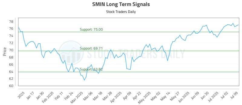 SMIN Long Term Analysis for July 9 2025 SMIN Long Term Analysis for July 9 2025