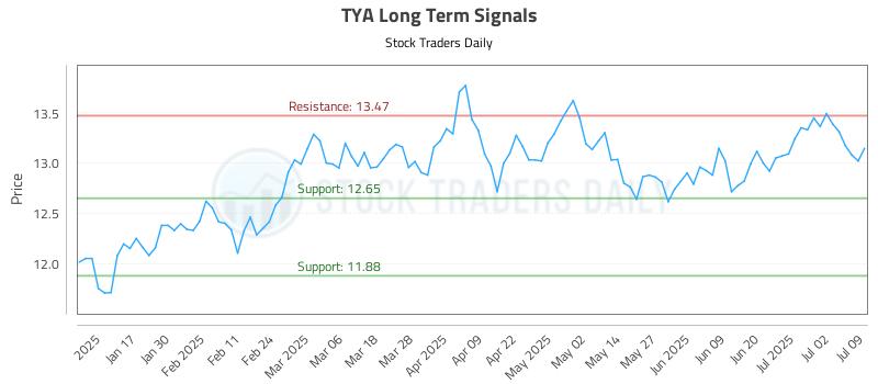 TYA Long Term Analysis for July 9 2025