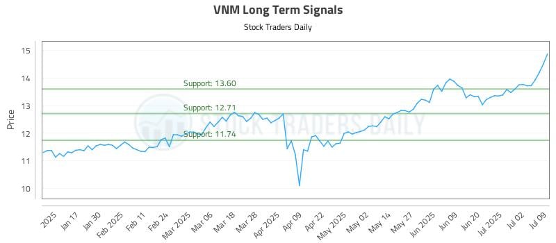 VNM Long Term Analysis for July 9 2025 VNM Long Term Analysis for July 9 2025