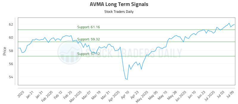 AVMA Long Term Analysis for July 10 2025