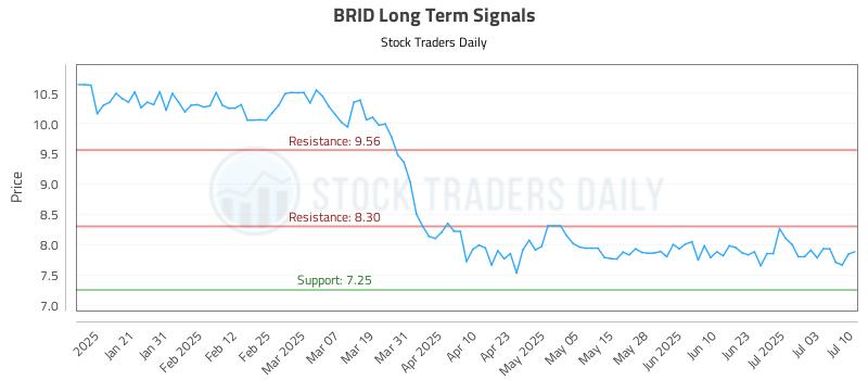 BRID Long Term Analysis for July 10 2025