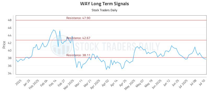 WAY Long Term Analysis for July 11 2025 WAY Long Term Analysis for July 11 2025