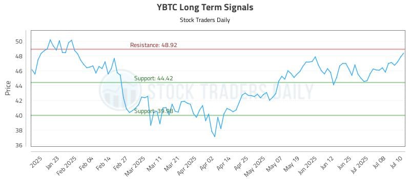 YBTC Long Term Analysis for July 11 2025