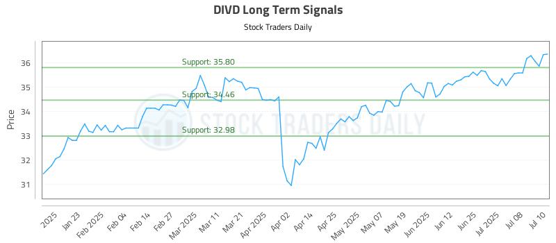 DIVD Long Term Analysis for July 11 2025 DIVD Long Term Analysis for July 11 2025