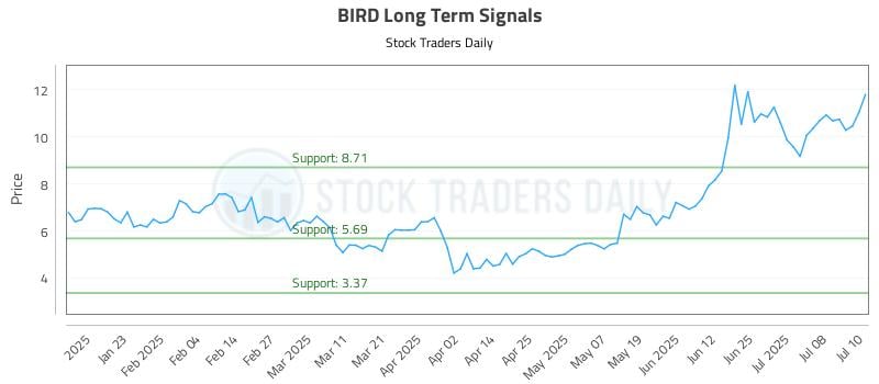 BIRD Long Term Analysis for July 11 2025 BIRD Long Term Analysis for July 11 2025