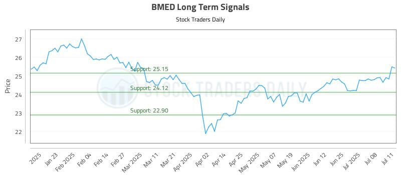 BMED Long Term Analysis for July 11 2025