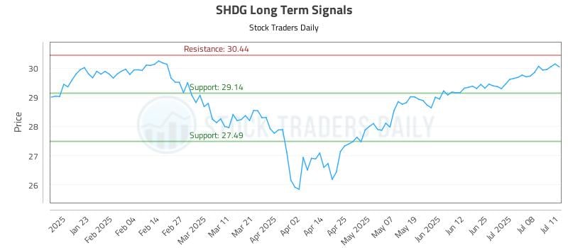 SHDG Long Term Analysis for July 11 2025
