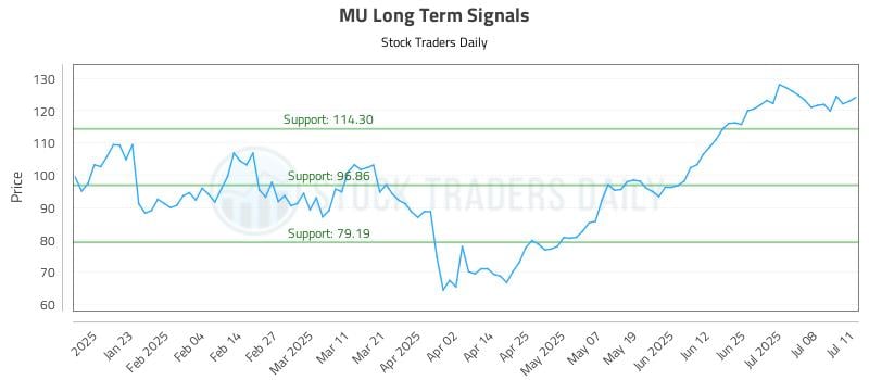 MU Long Term Analysis for July 11 2025