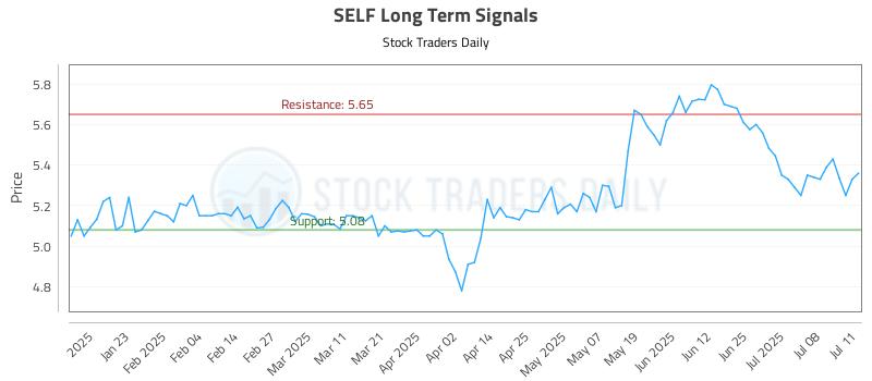 SELF Long Term Analysis for July 11 2025