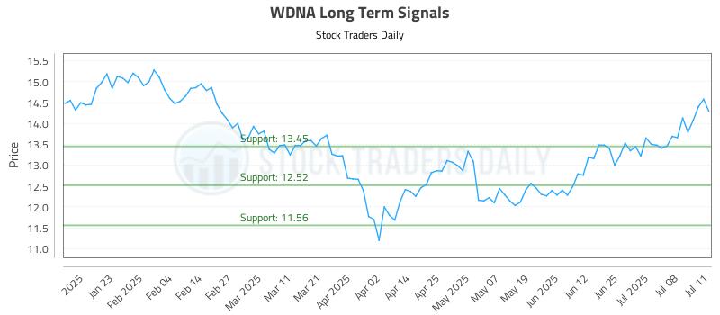 WDNA Long Term Analysis for July 11 2025 WDNA Long Term Analysis for July 11 2025