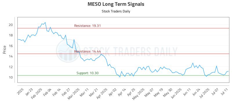 MESO Long Term Analysis for July 12 2025 MESO Long Term Analysis for July 12 2025