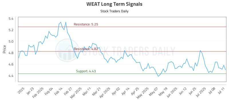 WEAT Long Term Analysis for July 12 2025
