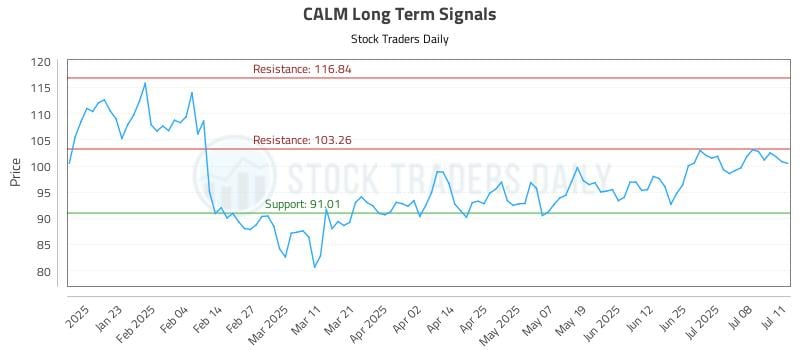 CALM Long Term Analysis for July 13 2025