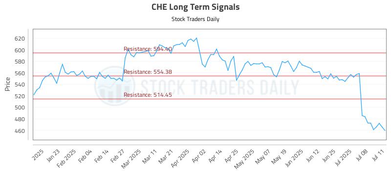 CHE Long Term Analysis for July 13 2025 CHE Long Term Analysis for July 13 2025