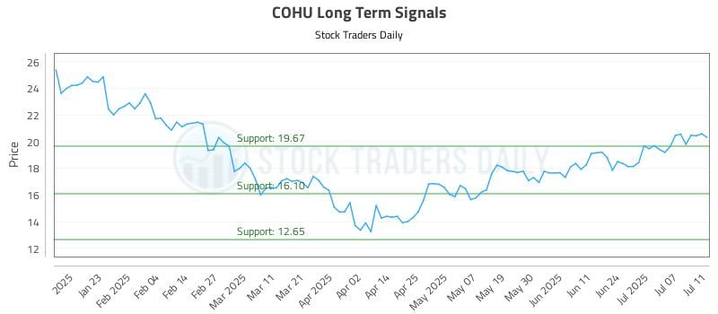 COHU Long Term Analysis for July 13 2025