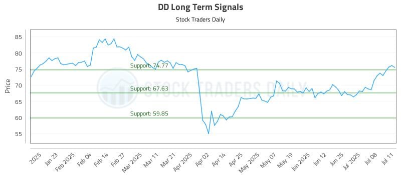 DD Long Term Analysis for July 13 2025 DD Long Term Analysis for July 13 2025