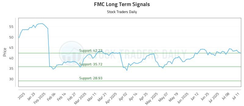 FMC Long Term Analysis for July 13 2025 FMC Long Term Analysis for July 13 2025