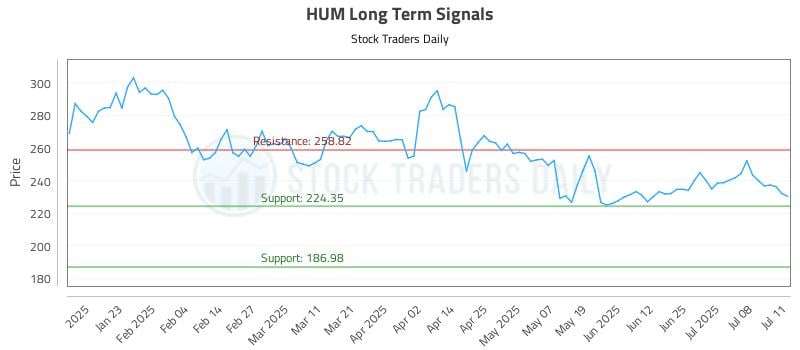 HUM Long Term Analysis for July 13 2025 HUM Long Term Analysis for July 13 2025