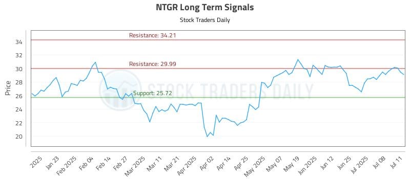 NTGR Long Term Analysis for July 13 2025
