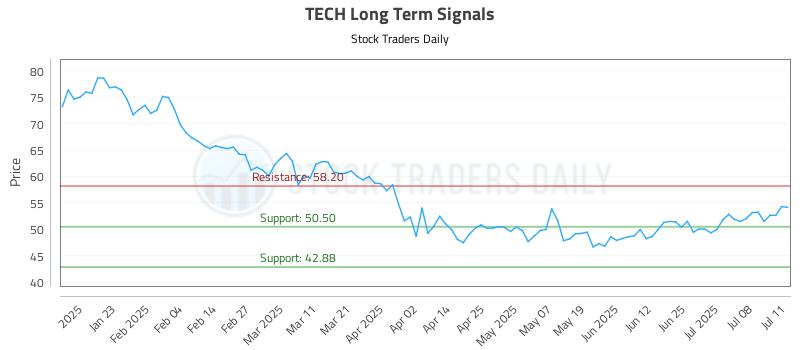 TECH Long Term Analysis for July 13 2025 TECH Long Term Analysis for July 13 2025