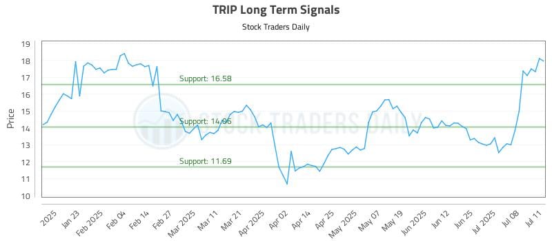 TRIP Long Term Analysis for July 13 2025