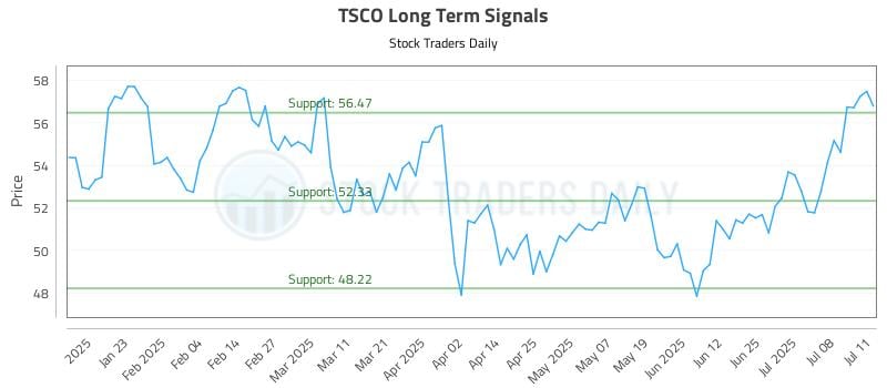 TSCO Long Term Analysis for July 13 2025 TSCO Long Term Analysis for July 13 2025