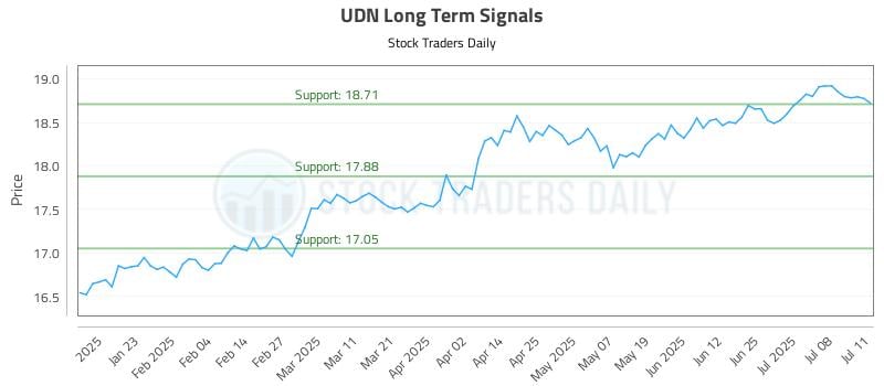 UDN Long Term Analysis for July 13 2025 UDN Long Term Analysis for July 13 2025