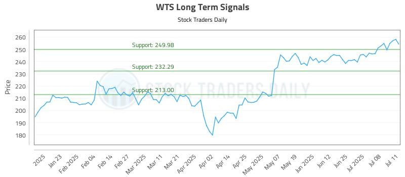 WTS Long Term Analysis for July 13 2025