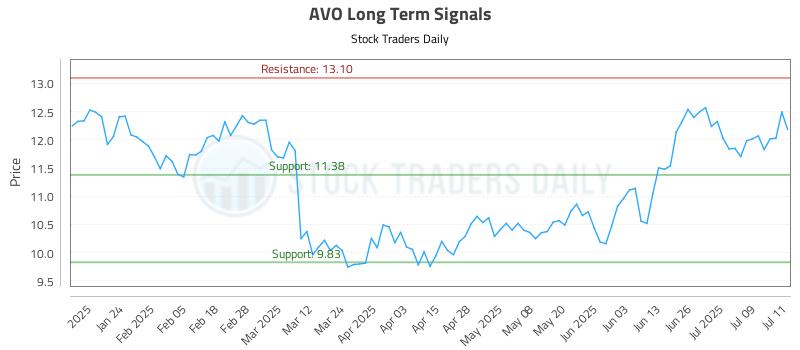 AVO Long Term Analysis for July 14 2025