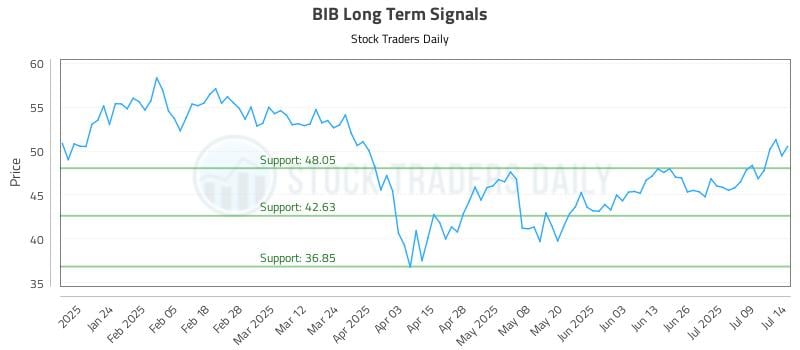 BIB Long Term Analysis for July 14 2025 BIB Long Term Analysis for July 14 2025