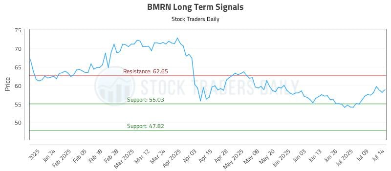 BMRN Long Term Analysis for July 14 2025