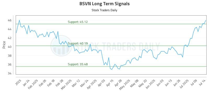 BSVN Long Term Analysis for July 14 2025 BSVN Long Term Analysis for July 14 2025